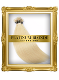 Platinum Blonde Straight Extensions